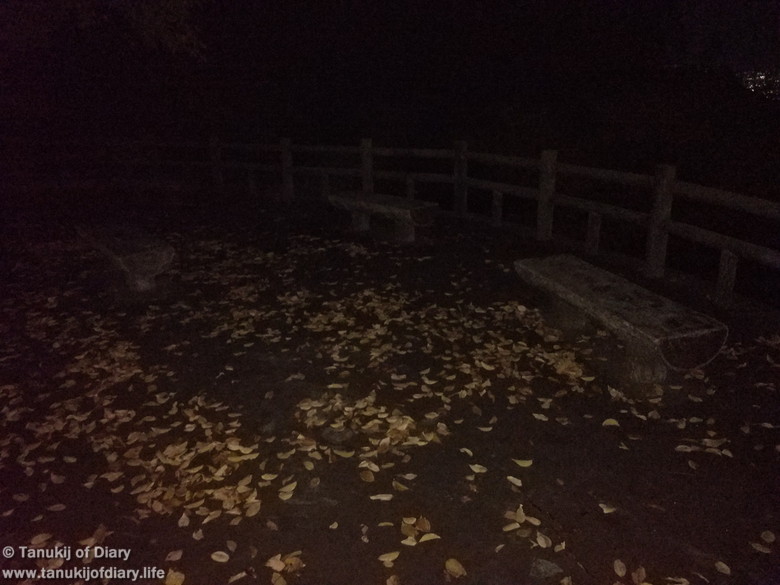 f:id:psptanukij:20181111005038j:plain