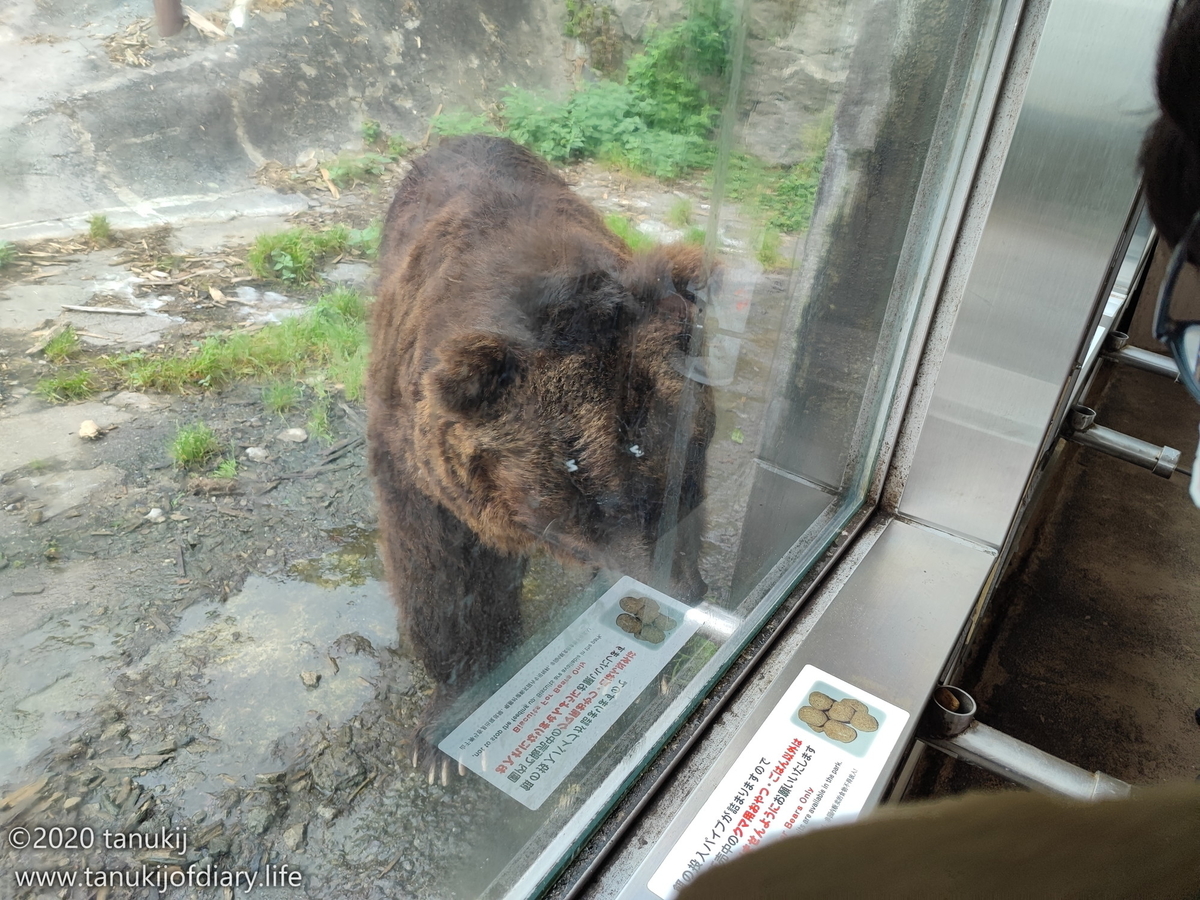f:id:psptanukij:20210901150004j:plain